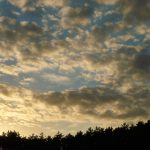 太刺激了国语精彩对白 147zia