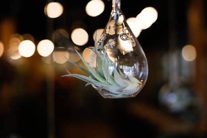 叶辰苏雨涵叶萌萌 叶辰苏雨涵叶萌萌