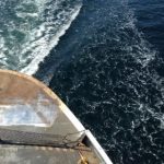 XXXTentacion视频 5k1cqrnlo