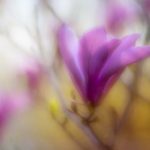 old日本老人grand 70u7a5naxs