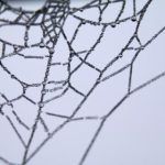 久久99九九99九九99精品 9n9ixz9