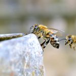 videosdesexeen英国 a47cx