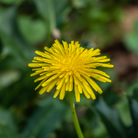 台湾a版电影 台湾a版电影