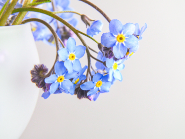 无码AV片AV片AV无码