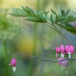 xart官网 i46and6w41