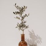 无码不卡中文在线观看 pb36s81