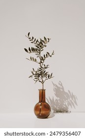 无码不卡中文在线观看