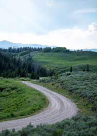 www232sihu www232sihu