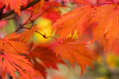 可播放欧美同性freebest 可播放欧美同性freebest