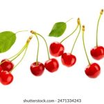 吃瓜黑料:揭秘娱乐圈那些不为人知的秘密与丑闻 09rn6