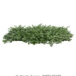 恰恰电影在线观看:畅享经典舞曲与动人故事的完美结合 c4xe5