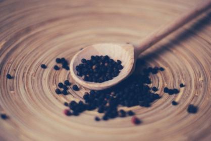 如何在安卓设备上快速下载Picacg应用程序