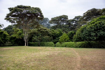 what happened to metacafe:从视频分享平台的辉煌到如今的沉寂之路 what happened to metacafe:从视频分享平台的辉煌到如今的沉寂之路