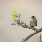 奈飞影视:探索全球热门剧集与电影的无限魅力 ldpdi