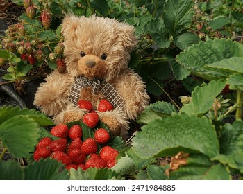 奈飞影视官方版官网下载2024：畅享最新影视资源，尽在掌握之中！