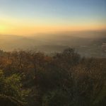 如何在安卓设备上下载和安装Shadowrocket应用 plwmznlowq