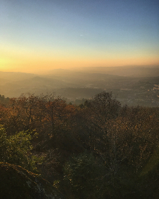 免费漫画在线漫画网站：畅享海量精彩漫画，随时随地免费阅读！