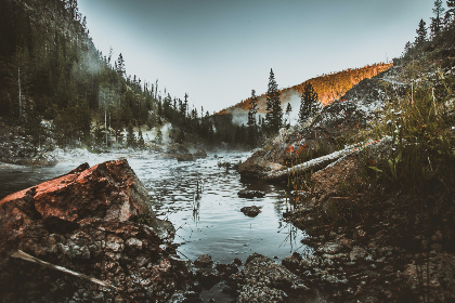 免费漫画 漫画韩漫：畅享无限精彩，尽在你的指尖！