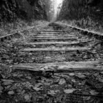 探索香港玩偶精品:独特手工艺与文化魅力 g8lyul3