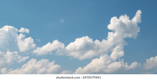 探索51吃瓜网站入口,获取最新娱乐八卦资讯 探索51吃瓜网站入口,获取最新娱乐八卦资讯