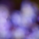 打造独特视频网站模板,提升用户体验与视觉吸引力 jvj1va7m6f