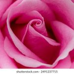 探索神秘的Yncarne:古老传说与现代解读 x0ng3t