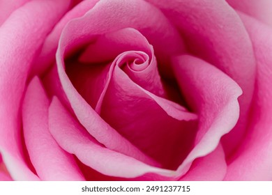 探索神秘的Yncarne：古老传说与现代解读